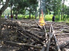 Patroli Drone, Polres Pasuruan Kota Berhasil Identifikasi dan Bongkar Lokasi Sabung Ayam