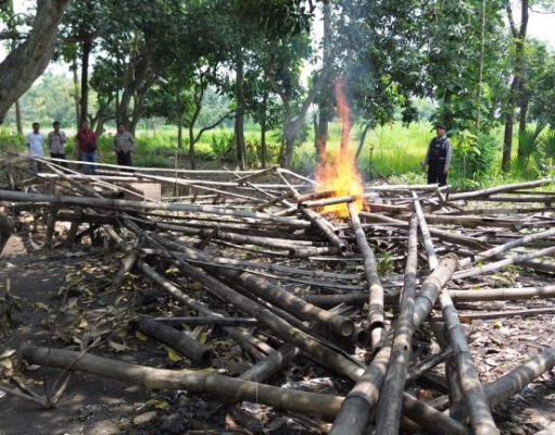 Patroli Drone, Polres Pasuruan Kota Berhasil Identifikasi dan Bongkar Lokasi Sabung Ayam