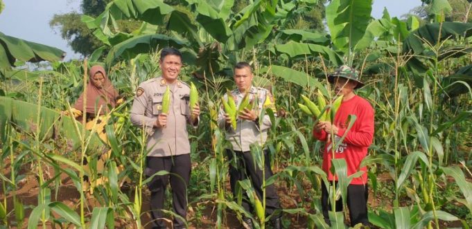 WhatsApp-Image-2025-04-28-at-13.40.20-2-768x373