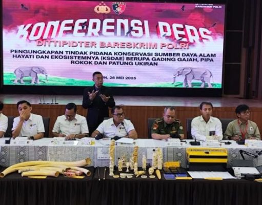 Kasus Penjualan Hewan Dilindungi Senilai Rp 2,3 Miliar 4 Orang Jadi Tersangka
