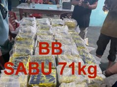 Polisi Tangkap MAF Sopir Truk Pengantar Sabu 71 Kg