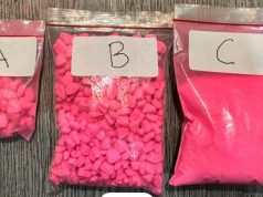 Pengedar Narkoba di Penjaringan Jakut digrebeg Polda Metro Jaya