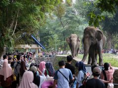 Libur Tahun Baru Islam dan Akhir Pekan, TMR Dipadati 134.943 Pengunjung