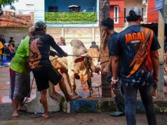 Korlantas Polri Bagikan Hewan dan Daging Kurban ke Masyarakat
