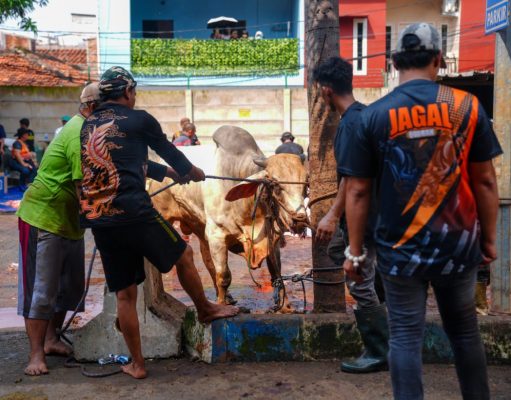 Korlantas Polri Bagikan Hewan dan Daging Kurban ke Masyarakat