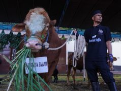 Tebar Kebaikan di Idul Adha 1446 H Polda Jabar Salurkan 112 Hewan Kurban