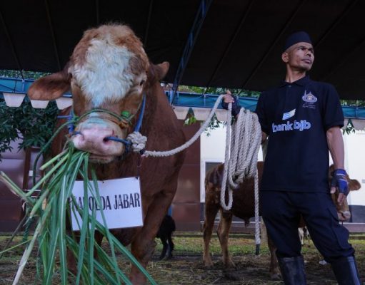 Tebar Kebaikan di Idul Adha 1446 H Polda Jabar Salurkan 112 Hewan Kurban
