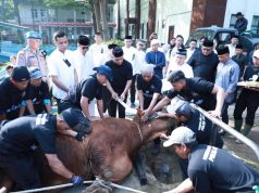 Ribuan Umat Muslim Ikuti Sholat Idul Adha di Mapolda Jabar, Kapolda Sembelih Hewan Kurban