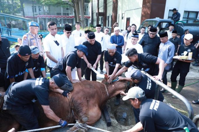 WhatsApp-Image-2025-06-06-at-12.16.39-768x512