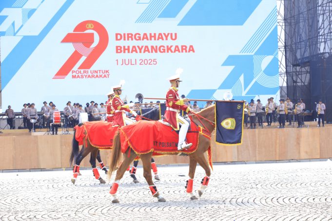 fdaacb97-cb0d-4e2a-bed9-ab7c1e91_559384