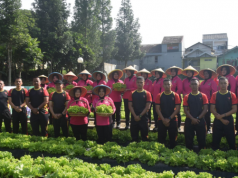 Satbrimob Polda Jabar Panen Raya Selada Keriting