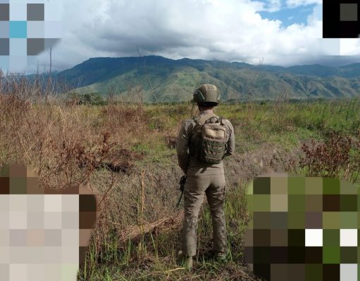 Dukung Program Swasembada Pangan Nasional, Satgas Ops Damai Cartenz Amankan Penanaman Jagung Serentak di Wamena