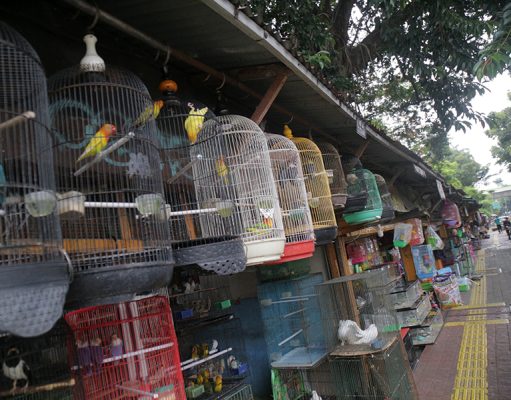 Wali Kota Jaksel Pastikan Relokasi Pedagang Loksem Barito Difasilitasi