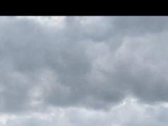 Penanaman Jagung Serentak di Wilayah Kabupaten Banyuwangi