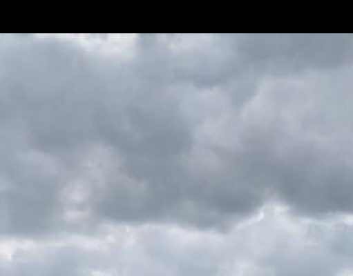 Penanaman Jagung Serentak di Wilayah Kabupaten Banyuwangi