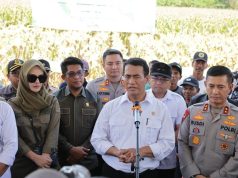 Produksi Jagung Naik 2,7 Juta Ton, Mentan Apresiasi Polri Atas Panen Raya Kuartal III