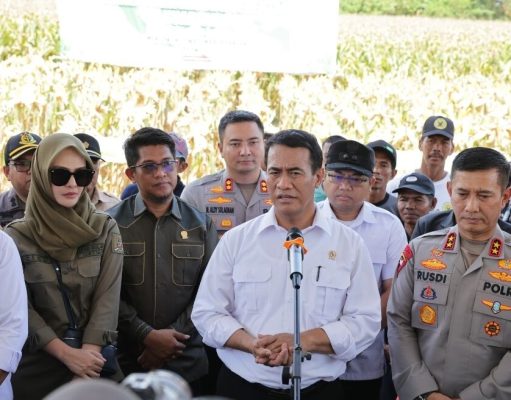 Produksi Jagung Naik 2,7 Juta Ton, Mentan Apresiasi Polri Atas Panen Raya Kuartal III