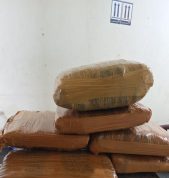 Penemuan 7 Kilogram Diduga Ganja di Cargo Bandara Internasional Minangkabau