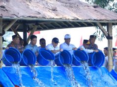 Dorong Ketahanan Pangan dan Ekonomi Rakyat, Wapres Gibran Tebar 80 Ribu Bibit Ikan Nila di Banten