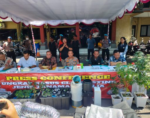 Polda Bali Amankan Dua WNA Saat Grebeg Kebun Ganja