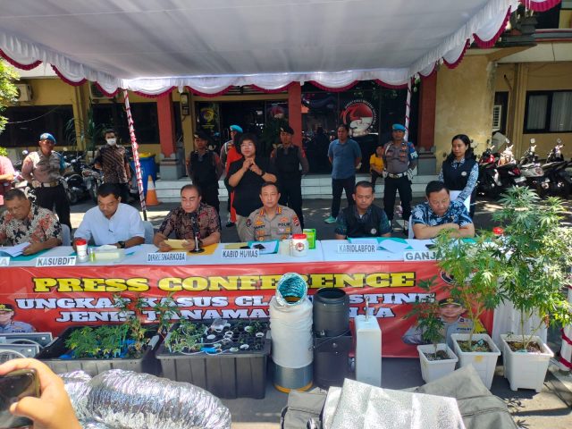 GrebekKebunGanjaPoldaBaliAmankanDuaWNA_924117