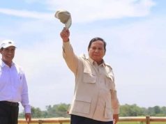 Produksi Beras Nasional Mencapai Rekor Tertinggi Sepanjang Sejarah