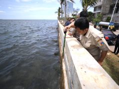 Pemprov DKI Percepat Perbaikan Tanggul Pantai Mutiara
