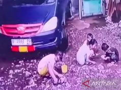 Polda Metro Ungkap Kronologi Mobil yang Lindas Dua Anak Kecil di Jaktim