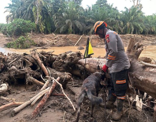 Tim K9 Ditpolsatwa Baharkam Polri Bantu Pencarian Korban Bencana di Bantaran Sungai Huta Raja
