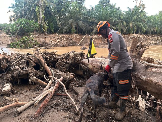 05c2a8f9-5be3-4d25-ada1-5e9b106525c6_404716