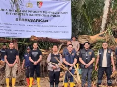 27 Kayu Hanyut di Garoga Disita Bareskrim untuk Diselidiki