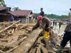 Bareskrim Polri Segera Umumkan Tersangka Pembalakan Liar di Tapanuli Selatan