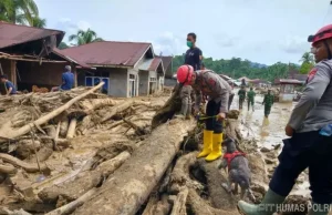 Bareskrim Polri Segera Umumkan Tersangka Pembalakan Liar di Tapanuli Selatan