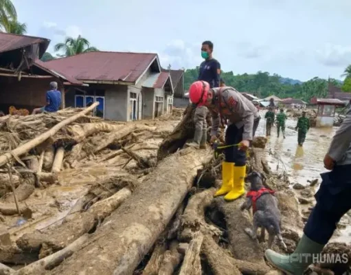 Bareskrim Polri Segera Umumkan Tersangka Pembalakan Liar di Tapanuli Selatan