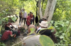 Polda NTB Selidiki Penemuan Mayat Wanita di Kawasan Hutan Sekotong Lombok Barat
