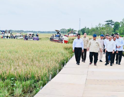 Presiden Prabowo Umumkan Swasembada Pangan Nasional 2025