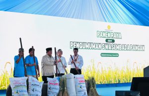 Swasembada Pangan 2025: Tonggak Sejarah Kemandirian Pangan Indonesia