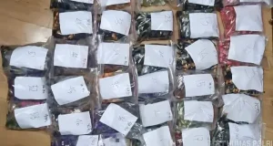 Peredaran Vape Mengandung Narkoba Terbongkar di Apartemen Jaksel, Kurir Diamankan