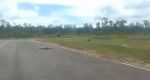 Insiden Penembakan Pesawat di Papua, Penumpang Pesawat Smart Air Selamat