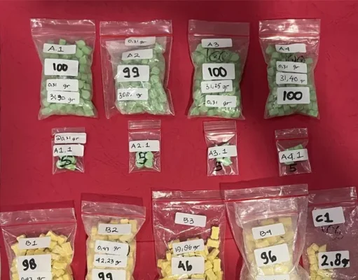 Dua Tersangka Narkoba di Jakpus dan 738 Butir Ekstasi Diamankan Polda Metro