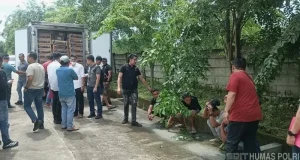 Peredaran 9 Ton Daging Beku Kedaluwarsa Berhasil Digagalkan