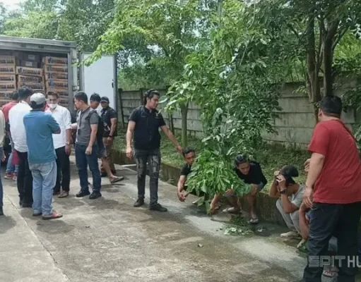 Peredaran 9 Ton Daging Beku Kedaluwarsa Berhasil Digagalkan