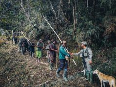 Tak Semua Bisa Pulang: Rindu yang Disimpan Demi Indonesia Tetap Tenang