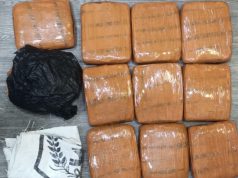 Polda Metro Jaya Tangkap Dua Pemuda Beserta 10 Kg Ganja