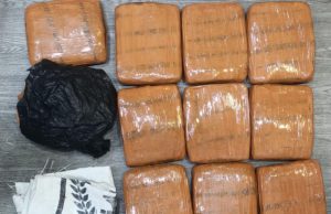 Polda Metro Jaya Tangkap Dua Pemuda Beserta 10 Kg Ganja