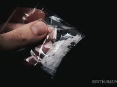 Polisi Gerebek Gudang Sabu di Bogor, Lebih dari 1 Kilogram Barang Bukti Diamankan