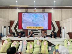 Ditemukan Ladang Ganja 20 Hektar di Empat Lawang, 220 Kg Ganja dan Bandar Utama Ditangkap