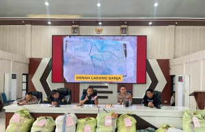 Ditemukan Ladang Ganja 20 Hektar di Empat Lawang, 220 Kg Ganja dan Bandar Utama Ditangkap