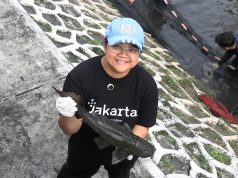 Pemprov DKI Bakal Gelar Rapat Khusus Basmi Ikan Sapu-Sapu