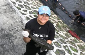 Pemprov DKI Bakal Gelar Rapat Khusus Basmi Ikan Sapu-Sapu